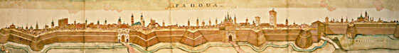 paglia 4
